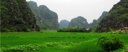 ninh-binh-green-scenery